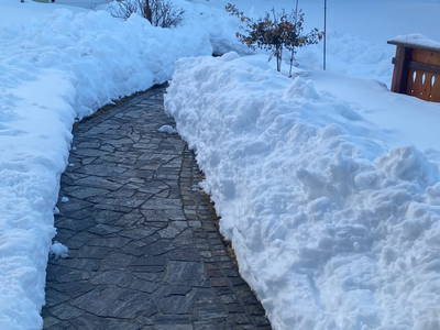 Bild 225 aus  Seewaldhof