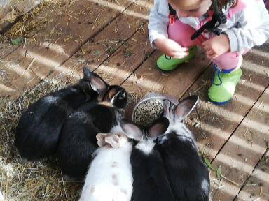 Bild 104 aus  Sonnenchalet im Salzburger Lungau