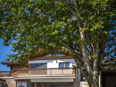 Bild 43 aus  Naglbauer