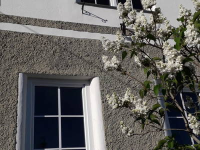 Bild 11 aus  Ferienhaus Ottenschlag