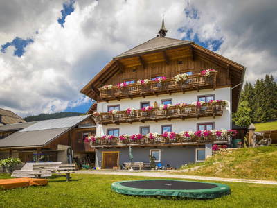 Bild 31 aus  Veitlbauer