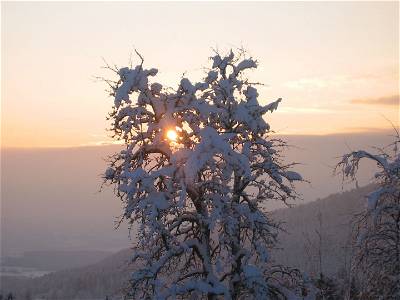 Bild 78 aus Natur-Gut Lassen