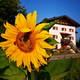 Familie Unterhauser Avatar