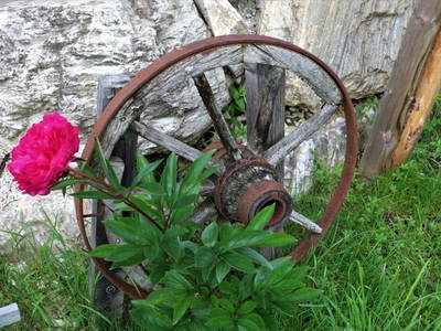 Bild 236 aus  Der Perweinhof