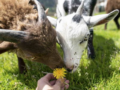 Bild 2 aus  Wendlshof