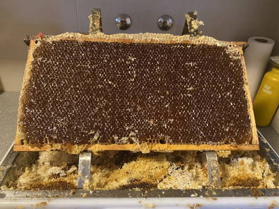 Bild 104 aus  Schuistlhof