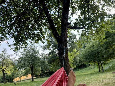 Bild 6 aus  MiklauTz Naturhof