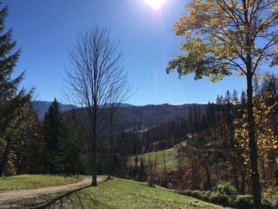 Bild 61 aus  Holzknechthütte