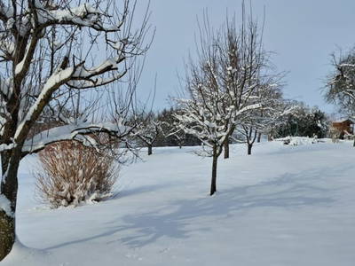 Bild 18 aus  Landhof Familie Weinbacher