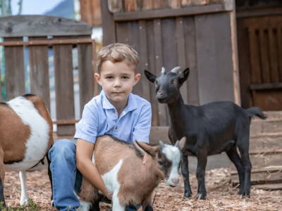 Bild 107 aus  Kinderbauernhof Albeineler Pitztal Tirol