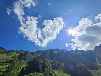 Bild 94 aus  Hoislbauerngut