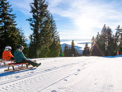 Bild 33 aus  Die Saualmleitn