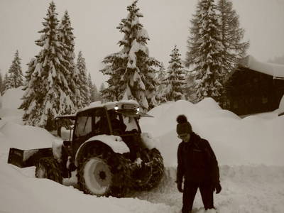 Bild 31 aus  Almhaus Gisela