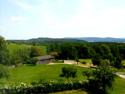 Bild 51 aus Blumentalhof