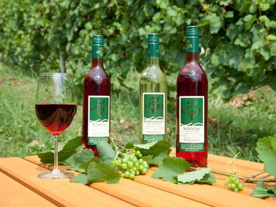 Bild 16 aus  Weingut Seiner vlg.Kraxner