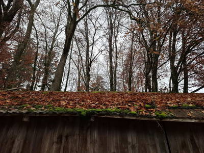 Bild 173 aus  Zehentnerhof