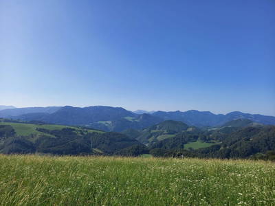 Bild 86 aus  Ferienhof Schneiderweg