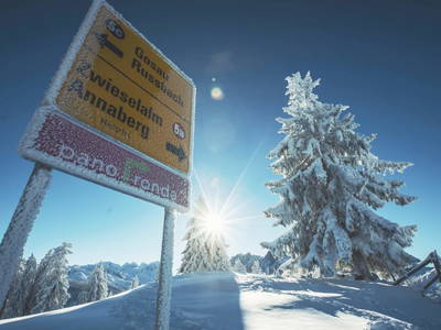 Bild 60 aus  Höllhof