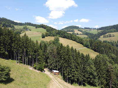 Bild 11 aus  Krieglwaldhütte