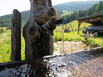 Bild 276 aus  Wolfsbachhütte