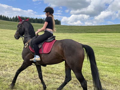 Bild 194 aus  Kuchlbauer