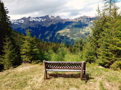 Bild 52 aus  Hoislbauernhütte