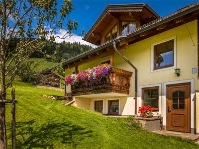 Bild 47 aus Prechtlhof in Flachau