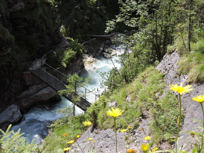 Bild 177 aus  Rimmlhof & Rimmlstube