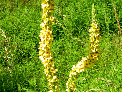 Bild 10 aus Bauernhof Webinger