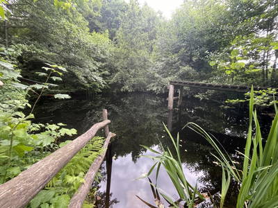 Bild 69 aus  1000 Krauthof - Ferienwohnung