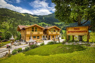 Öko-Appartements Fallhaus aus Forstau