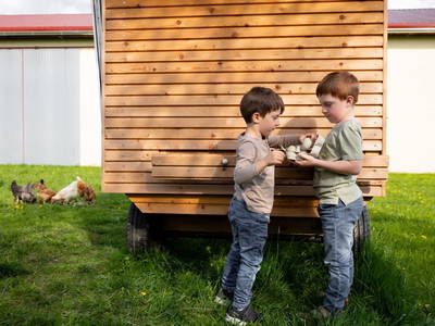 Bild 28 aus  ReiWaSchHOF