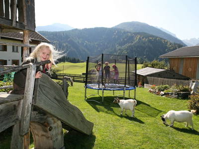Bild 45 aus  Bauernhof Gruber - Bauernhaus