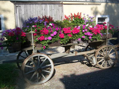 Bild 18 aus  Schönlehenhof