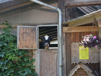 Bild 51 aus  Holzblockhäuser Fam. Schabus