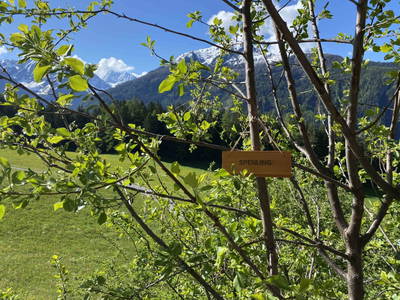 Bild 24 aus Alpenfarm Poschhof