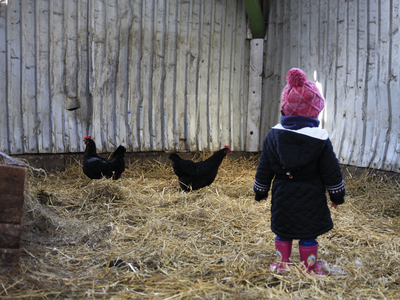 Bild 7 aus  Ferienhof   Witte Haubarg                -  2025 Beliebtester Ferienhof für Familienurlaub