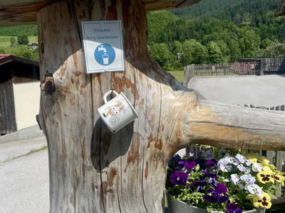 Bild 10 aus  Heisshof 