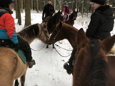 Bild 40 aus  Hacklhof