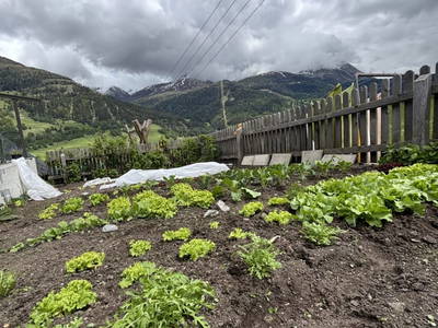 Bild 132 aus Riatschhof