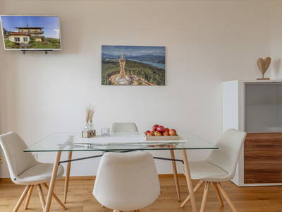 Bild 165 aus  Pleschinhof