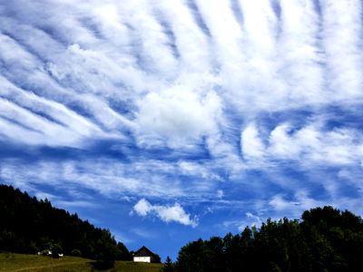Bild 212 aus Arlitscherhof