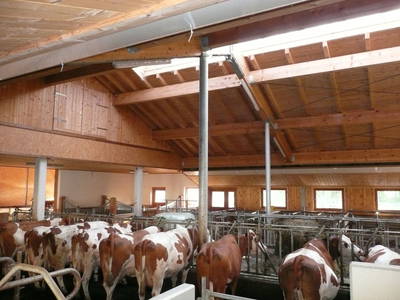 Bild 69 aus  Taxengut