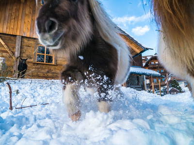 Bild 34 aus  Familienhotel-Gasthof Hinteregger