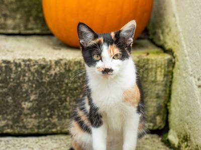 Bild 36 aus  Hof in Liebesdorf