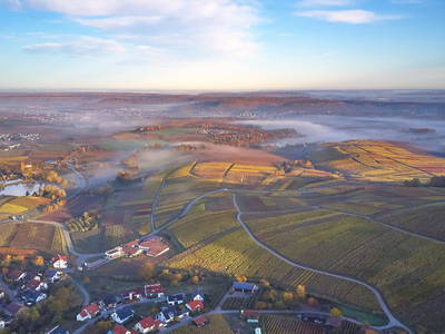 Bild 23 aus  Zum Wolffenturm