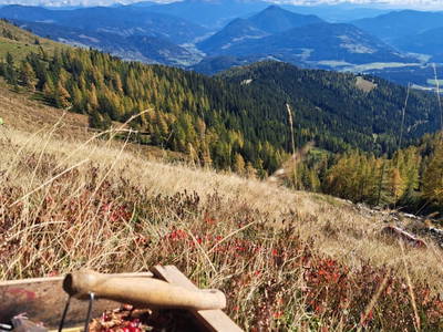 Bild 29 aus  Rotlechner