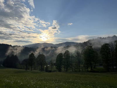 Bild 11 aus  Peterlehen