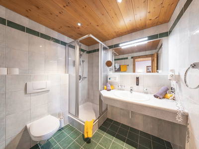 Bild 100 aus  Ausserwieserhof