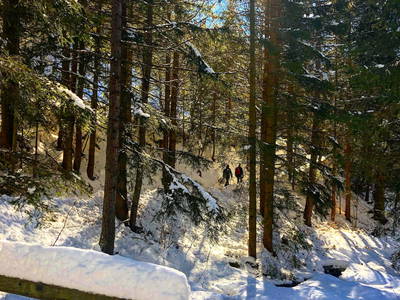 Bild 30 aus TESTHOF Oberösterreich